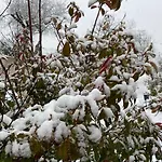Bed & Breakfast Oasi Vetoio 3*