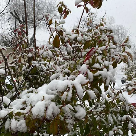 Bed & Breakfast Oasi Vetoio 3*