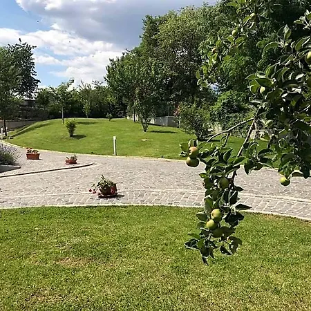Oasi Vetoio Bed & Breakfast 3*