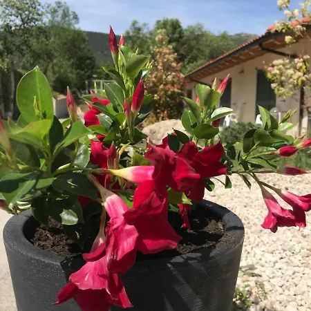 Oasi Vetoio 3* L'Aquila