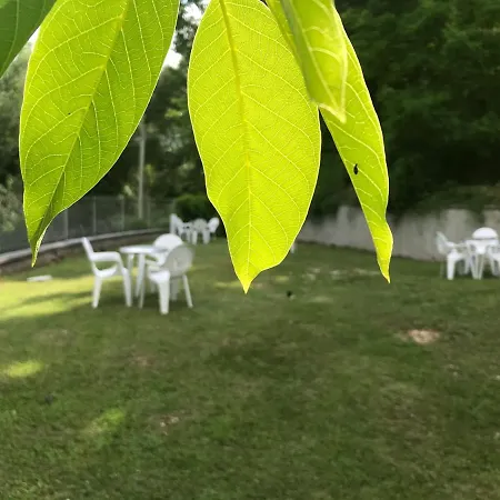 Oda ve Kahvaltı Oasi Vetoio