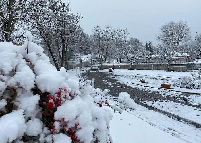 Bed & Breakfast Oasi Vetoio