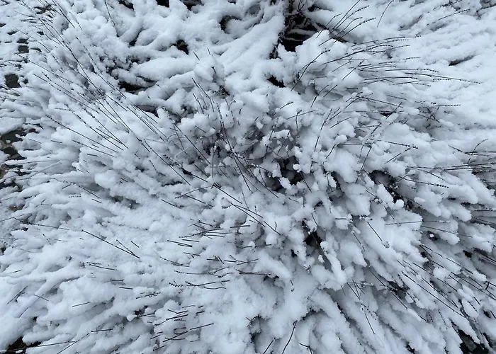 Oasi Vetoio Bed & Breakfast