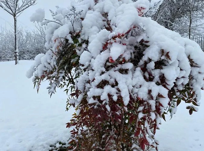 Oasi Vetoio LʼAquila