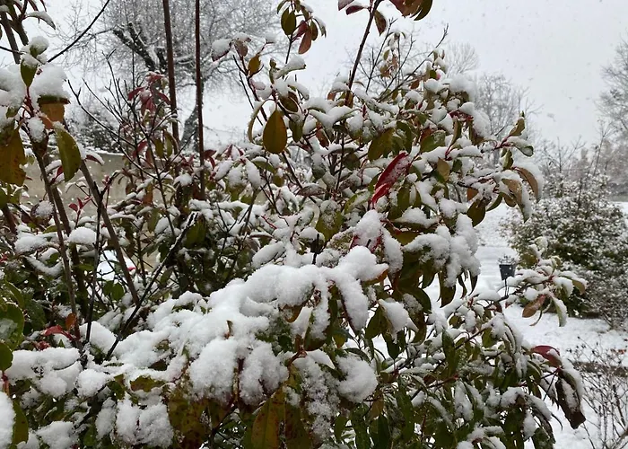 Bed & Breakfast Oasi Vetoio 3*