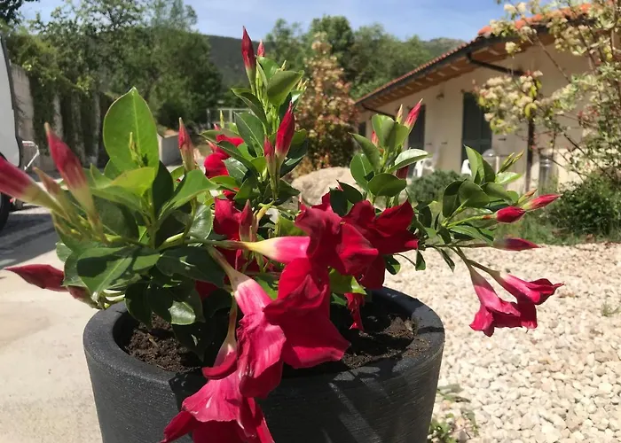 Oasi Vetoio 3* LʼAquila